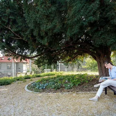 Mamaison Sulekova Otel 4*